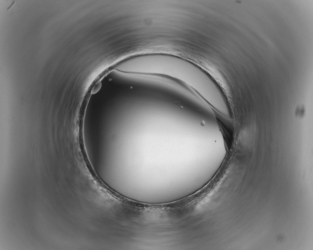 X0000090990944200708091516