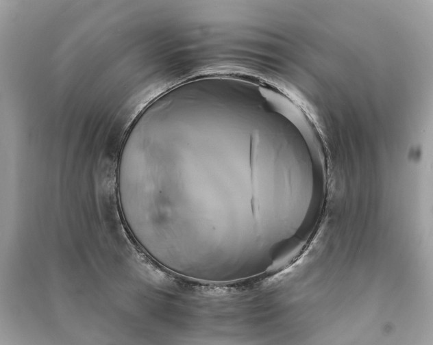 X0000090990945200708091516