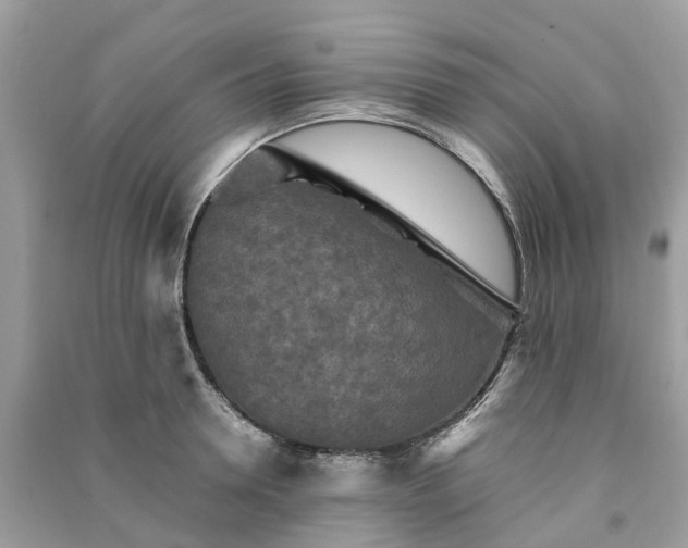 X0000090990946200708091516