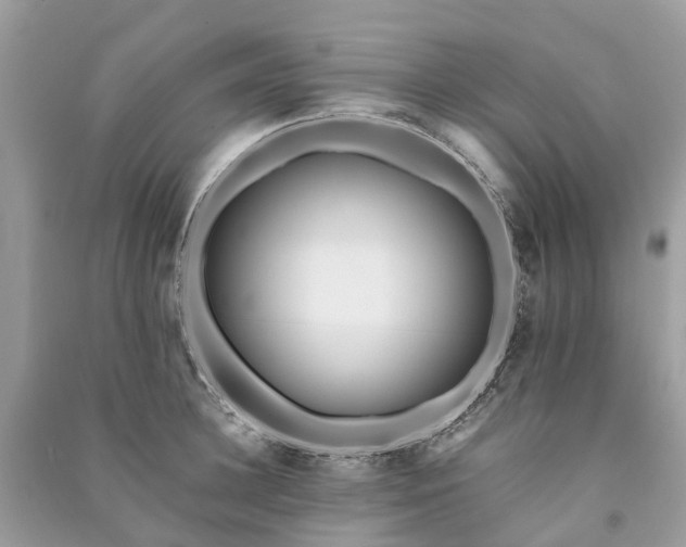 X0000090990948200708091516