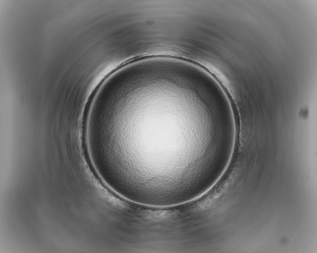 X0000090990949200708091516