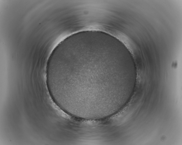 X0000090990950200708091516