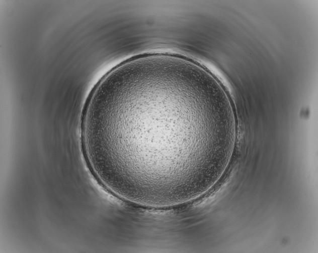 X0000090990951200708091516