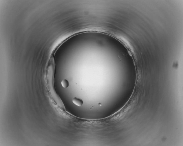 X0000090990952200708091516