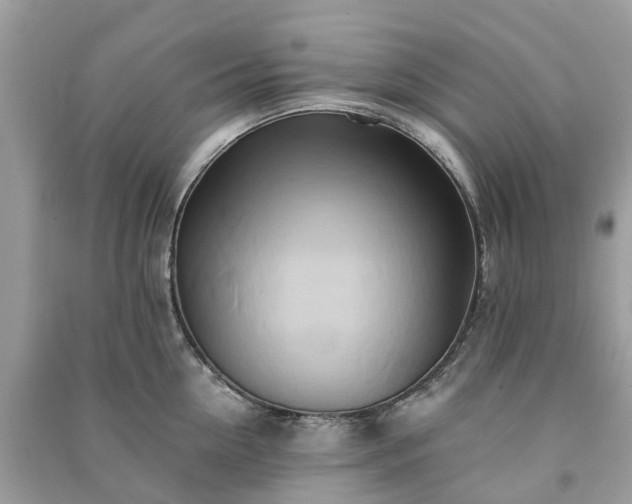 X0000090990954200708091516