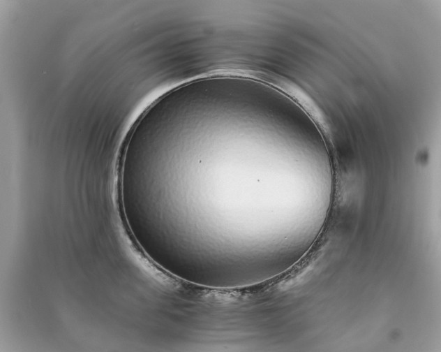 X0000090990955200708091516