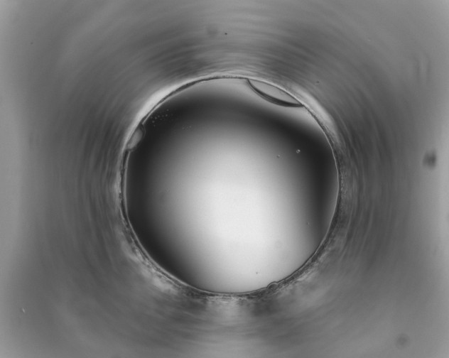 X0000090990956200708091516