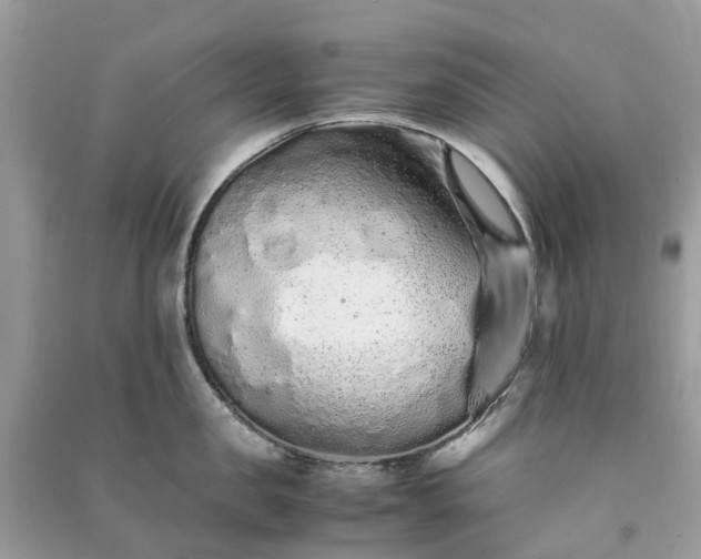 X0000090990957200708091516