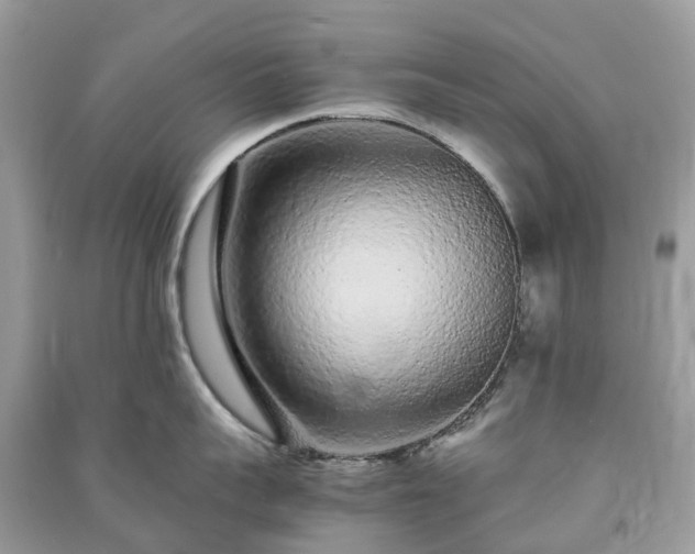 X0000090990959200708091516