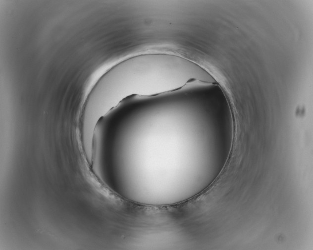 X0000090990960200708091516