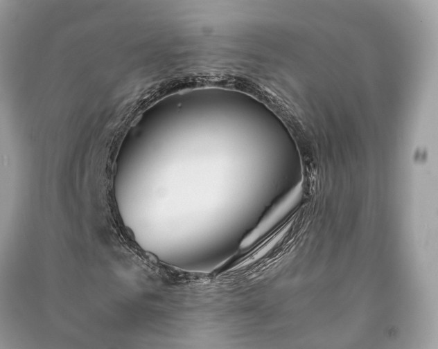 X0000090990961200708091515