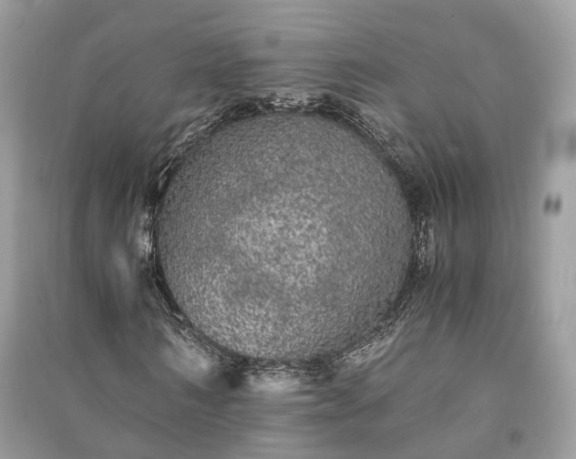 X0000090990962200708091515