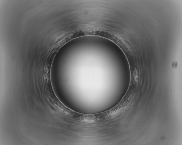 X0000090990964200708091515