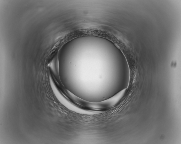 X0000090990965200708091515