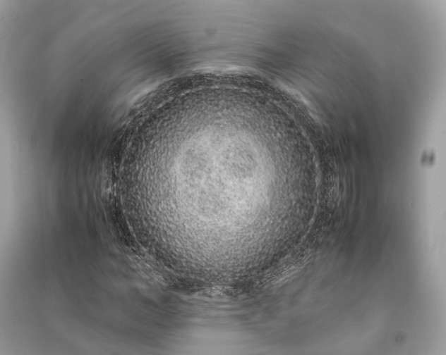 X0000090990966200708091515