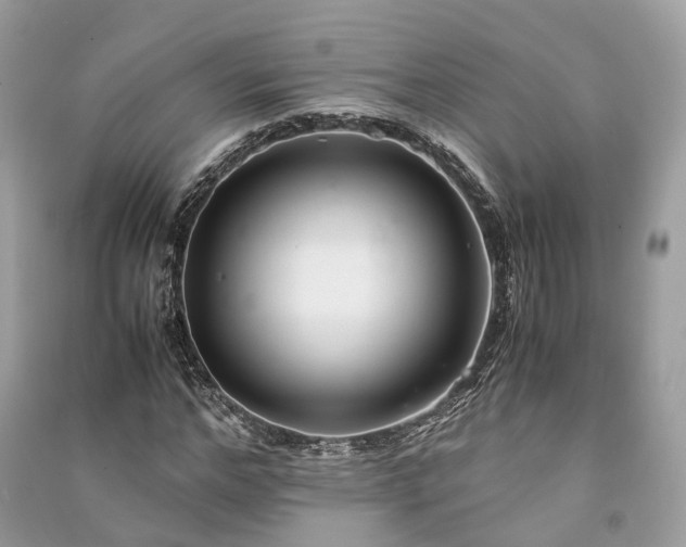 X0000090990968200708091515