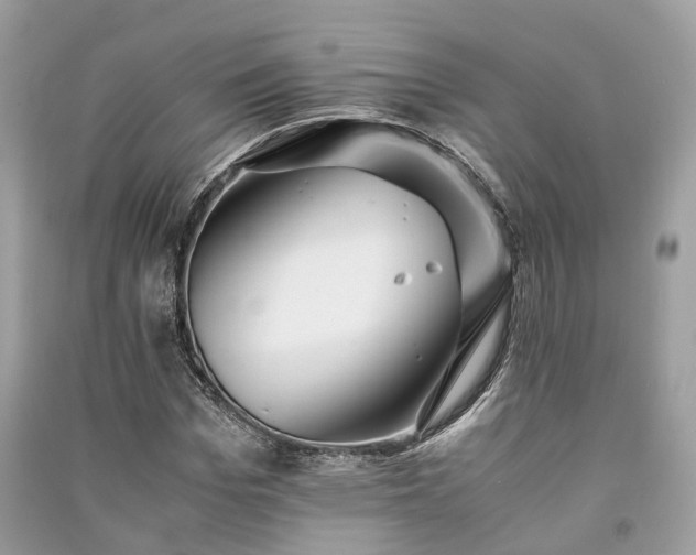 X0000090990969200708091515