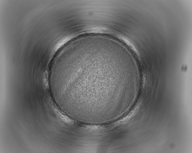 X0000090990970200708091515