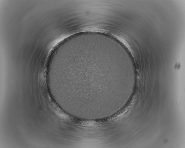 X0000090990971200708091515