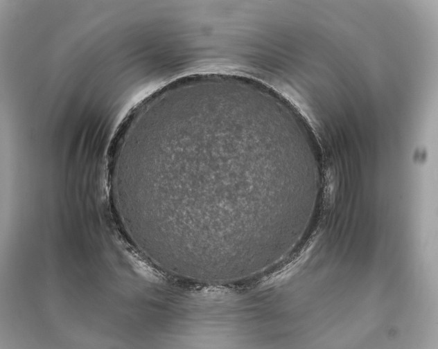 X0000090990974200708091515