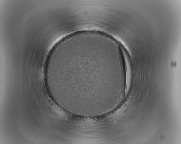 X0000090990975200708091515