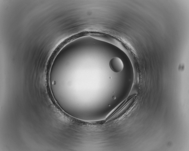 X0000090990976200708091515