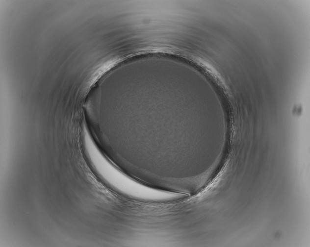 X0000090990977200708091515