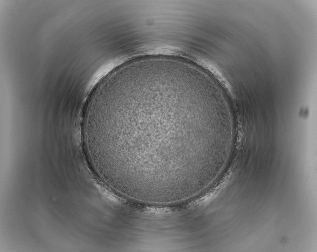 X0000090990978200708091515