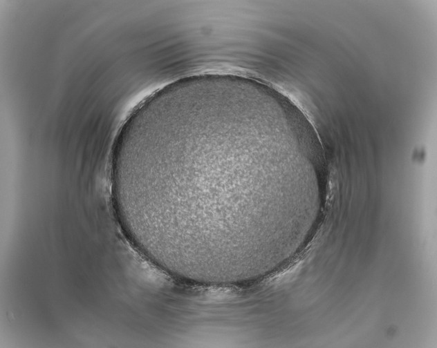 X0000090990979200708091515