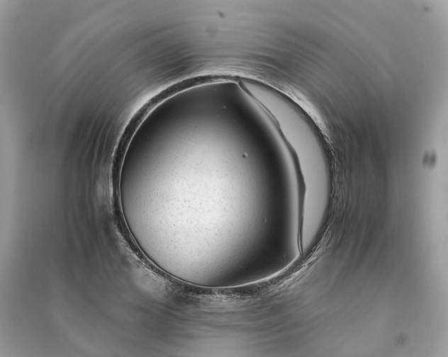 X0000090990980200708091515