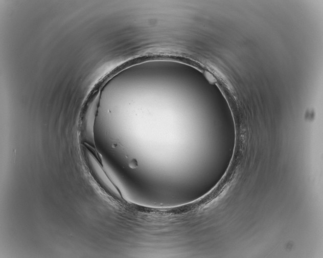 X0000090990981200708091515