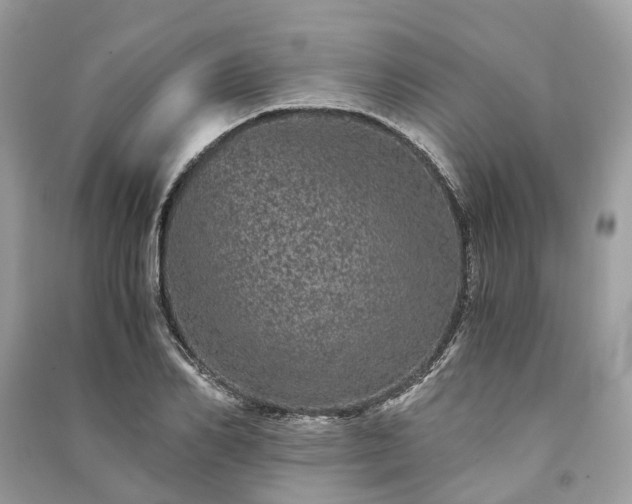 X0000090990982200708091515