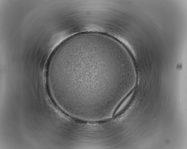 X0000090990983200708091515