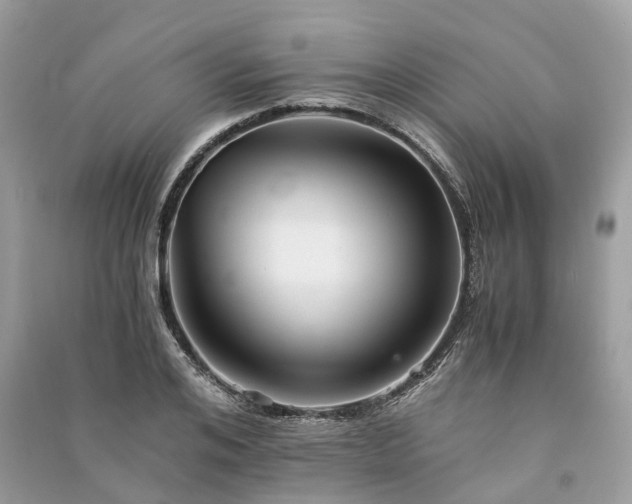 X0000090990984200708091515