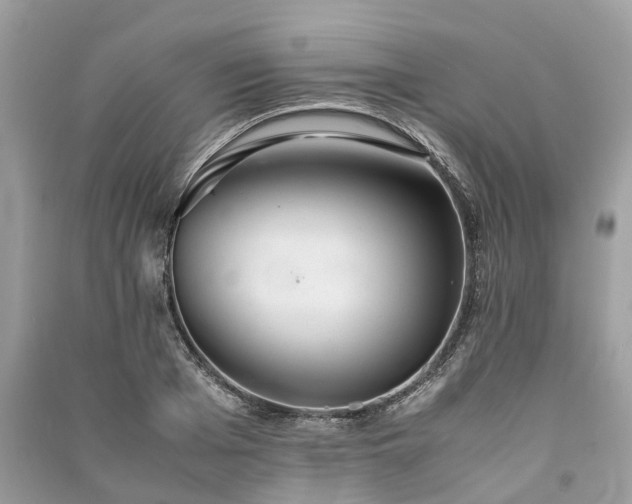 X0000090990985200708091515