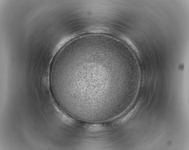 X0000090990986200708091515