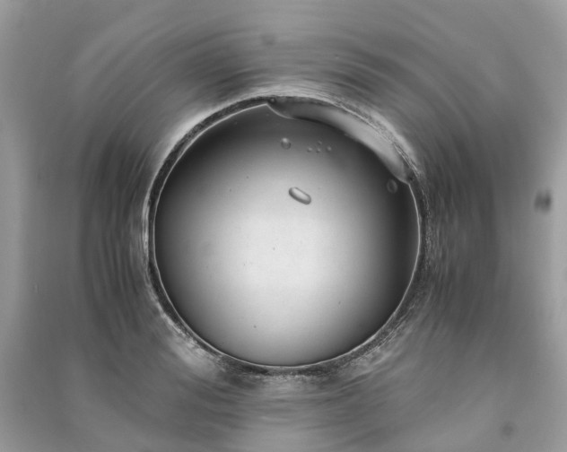 X0000090990988200708091515