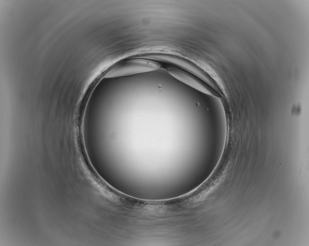 X0000090990989200708091515