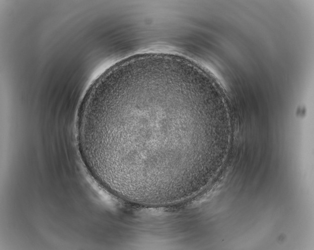 X0000090990990200708091515