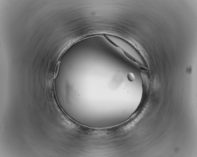 X0000090990993200708091515