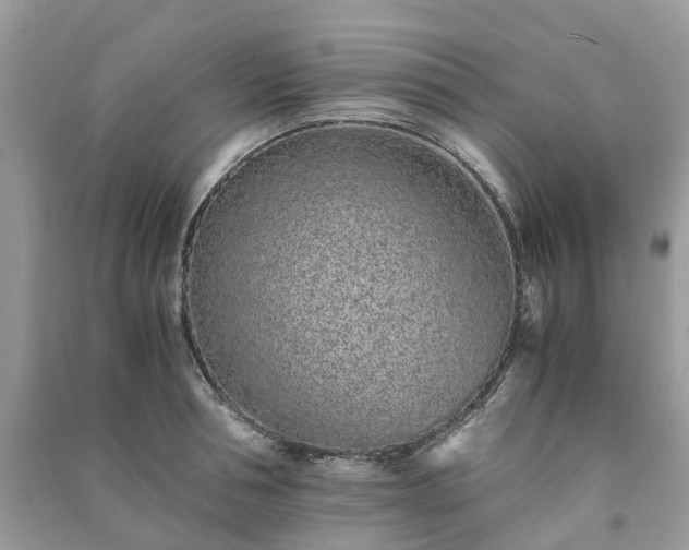 X0000090990994200708091515