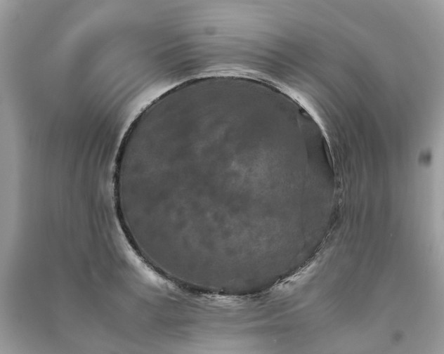 X0000090990995200708091515