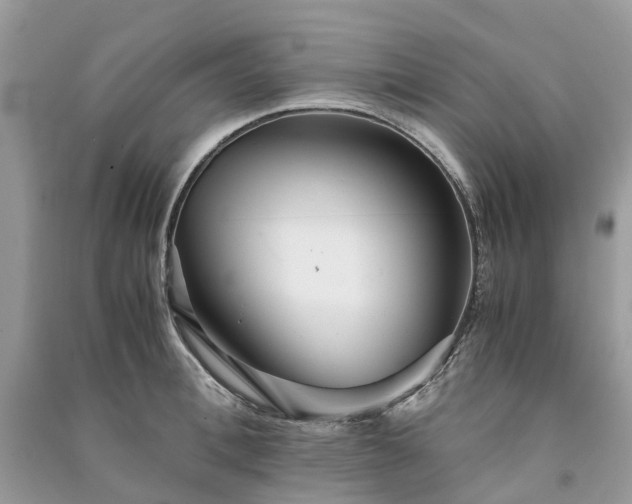 X0000090990996200708091515