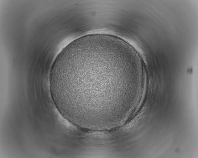 X0000090990998200708091515