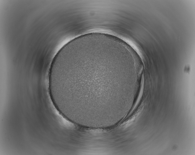 X0000090990999200708091515