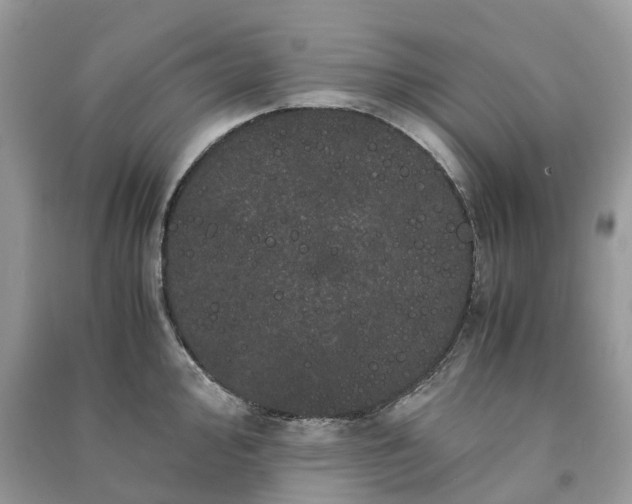 X0000090991000200708091515