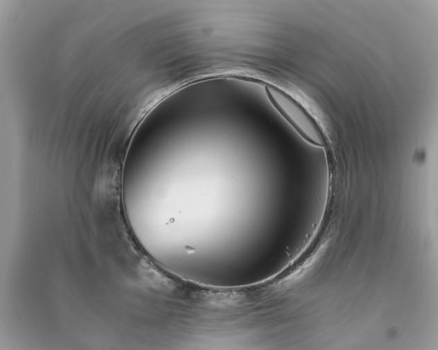 X0000090991001200708091515