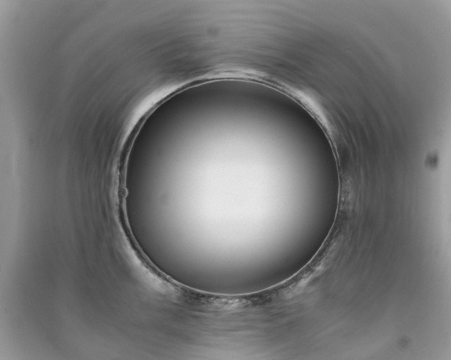 X0000090991003200708091515