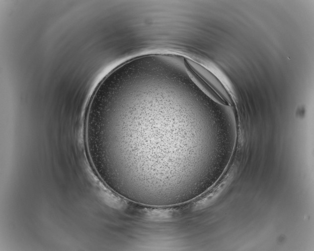 X0000090991004200708091515