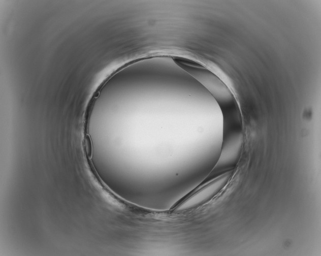 X0000090991005200708091515